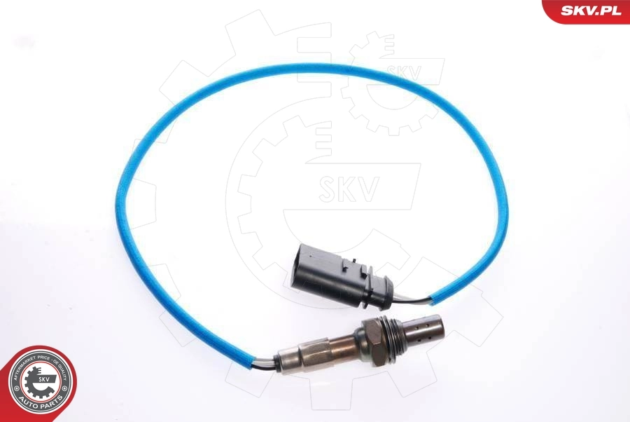 Oxygen Sensor